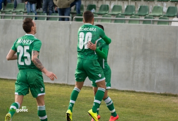 Лудогорец - Берое 1:0